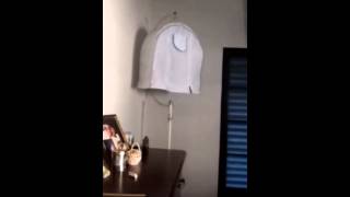 PARDO 254 TEMPORADA 2014/2015
