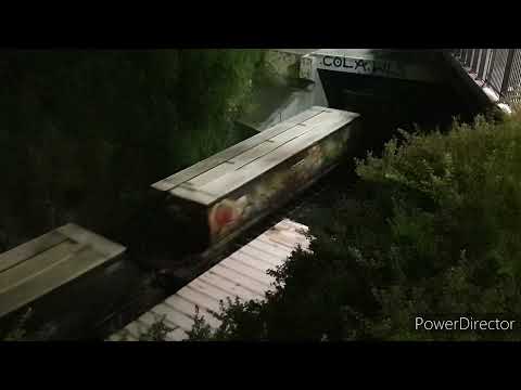 Australian Locomotives - SSR - Empty Grain