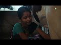 Arokya Milk Cattle Care Marathi 30 Sec