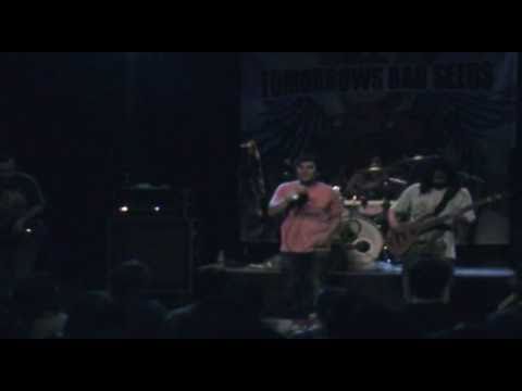 Tomorrows Bad Seeds - Only For You