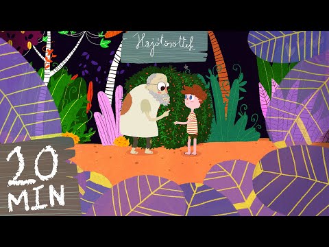 Hajótöröttek - 3 epizód | 1-3.