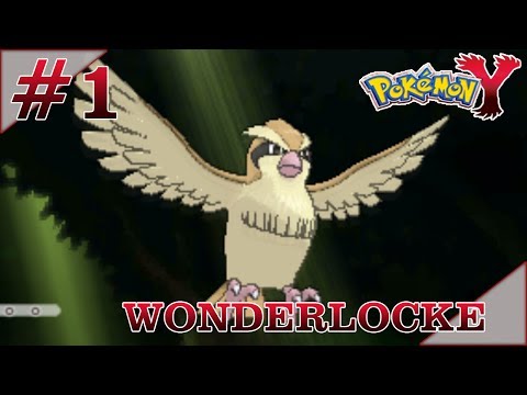 Pokemon Y Wonderlocke Episode 1 - New Beginning