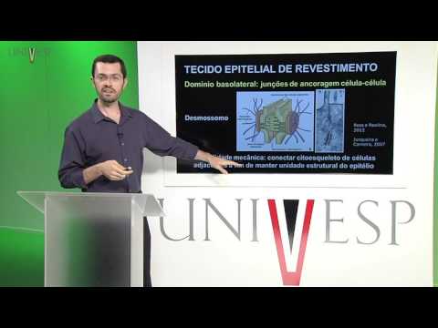 Cells and Tissues - Class 18 - Biology of the lining epithelial tissue