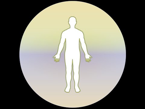 Homoeopathic Repertorium Video