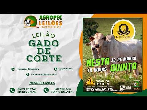 Agropecleiloes.com LEILÃO GADO DE CORTE | PADRE CÍCERO - PORTO NACIONAL-TO 12/03/2026.