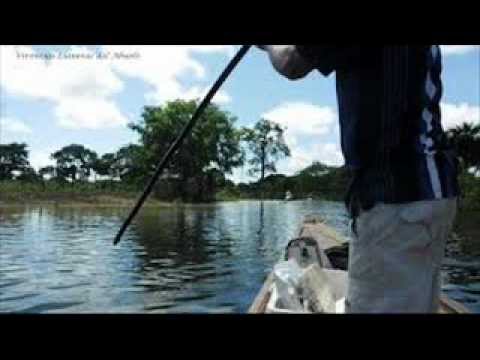 FG  La Garza y El Bonguero - Dionisio Garrido