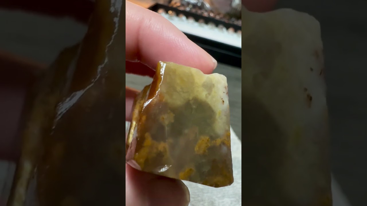 Savannah River Agate #9