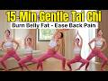 20 Min Tai Chi Every Day To Look 10 Years Younger Lose Weight Burn Belly Fat