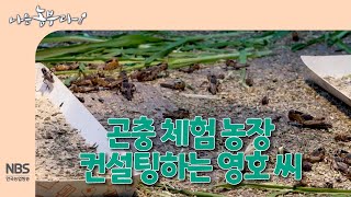 [나는농부다 286회] 곤충 체험 농장 컨설팅하는 영호 씨