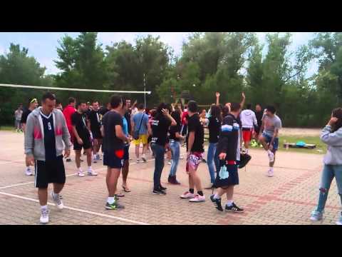 Elektrijada 2014, Visoka ICT odbojka - devojke