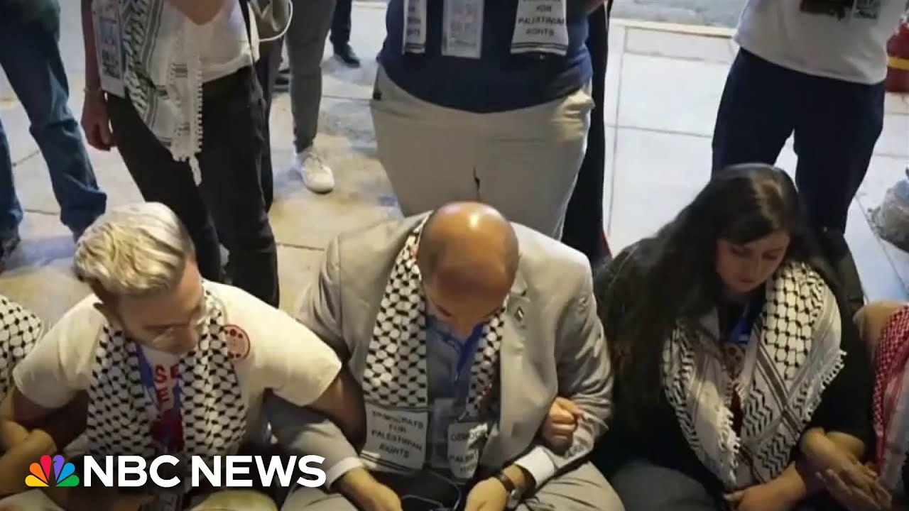 Pro-Palestinian protesters hope for speaking slot during final night of DNC