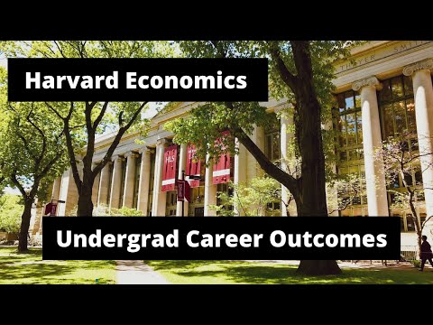 Harvard Economics Career Outcomes | Investment Banking & Consulting