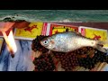Match Trick Exapriment Life Hacks Barnig Matchbox Fish