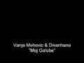 Vanja Muhovic & Divanhana - Moj Golube 
