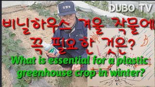 겨울 비닐하우스 작물에 꼭 필요한 것은?What is essential for a winter greenho…
