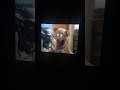 Sesame Street Episode 3561 Ending