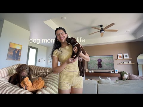 a day in my life with a puppy + my new routine