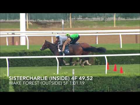 Sistercharlie & Wake Forest work - June 3, 2018