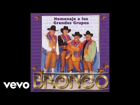 Bronco - Déjenme Si Estoy Llorando (Cover Audio)