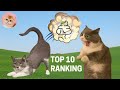 TOP 10 RANKING Of Funny Cat Videos Compilation 2 FART Funny Cats Cute Cats Cute Kittens