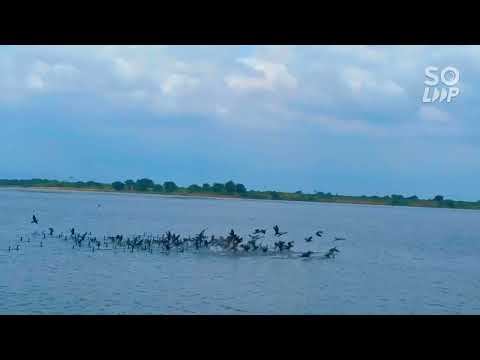 Beauty of lake house 💙