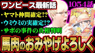 伏線回収しまくりでヤバすぎ!シャンクスの目的、サボの新事実、ビビはどうなった?【 ワンピース 1054話 最新話 考察 】 ※ジャンプ ネタバレ 注意