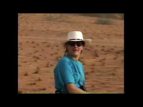 A Camel Caravan in Niger
