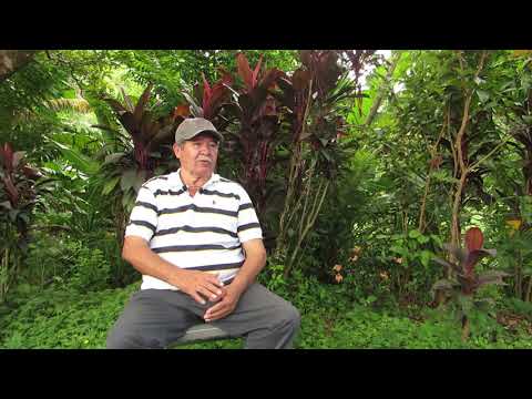 Testimonios San José Las Flores - Lisandro Monge