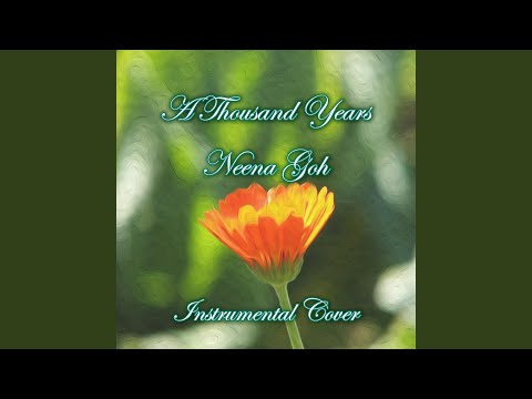 A Thousand Years (Instrumental Cover)