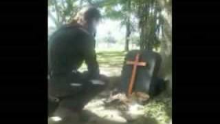 dark lunacy cold embrace