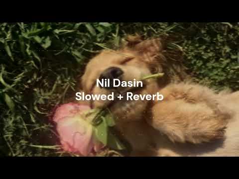 Nil Dasin (නිල් දෑසින්) | (Surenie De Mel) | ( Sinhala Song = Slowed + Reverb ).!