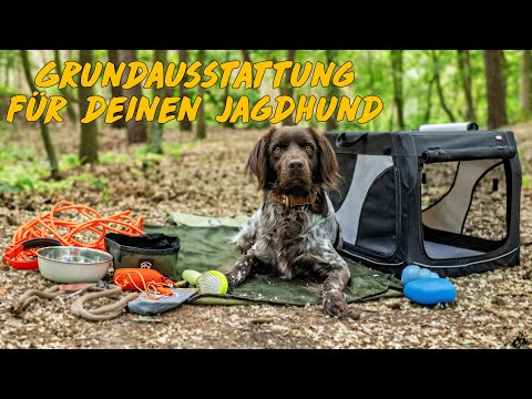 Die perfekte Grundausstattung für deinen Jagdhund