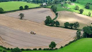 Fields of Gold: Watch a Combine Harvester Transform Wheat to Straw