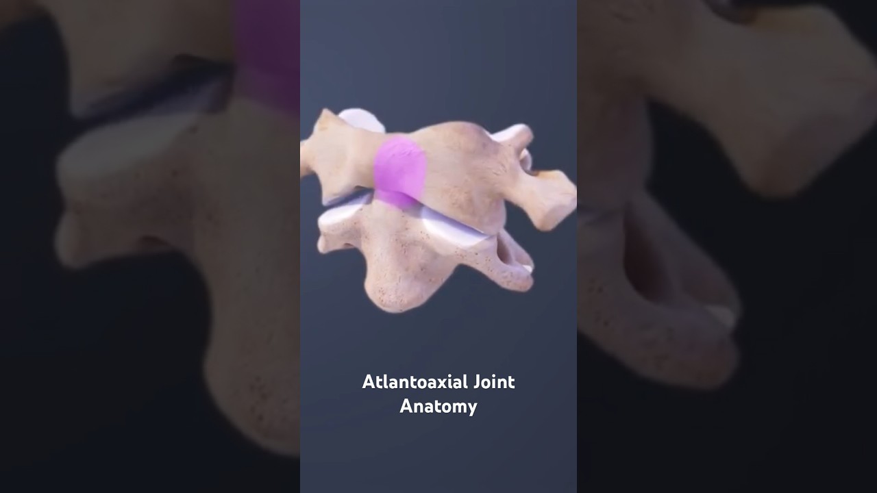 Atlantoaxial Joint Anatomy