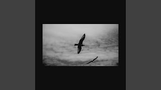 Wings (날개) (feat.U Sung Eun) (유성은) (, Ryno)