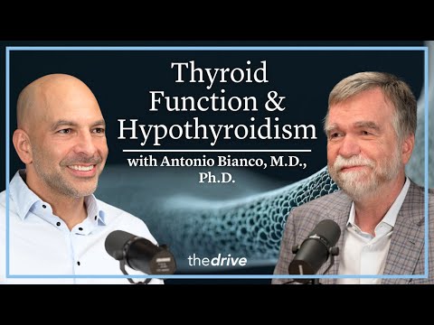 @PeterAttiaMD - "373 – Thyroid function & hypothyroidism: how new approaches are transforming care"
