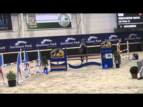 Istria D 2008 mare by Cicero Z x Sheyenne de baugy