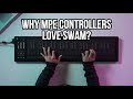 When SWAM meets MPE expressive controllers