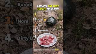 Miniature vidéo