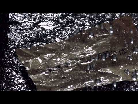 oba nawoth -nariko san-