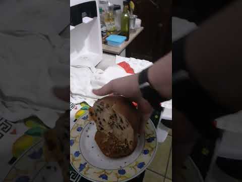 Natal Cacau Show (2025) - Porto Velho Rondonia