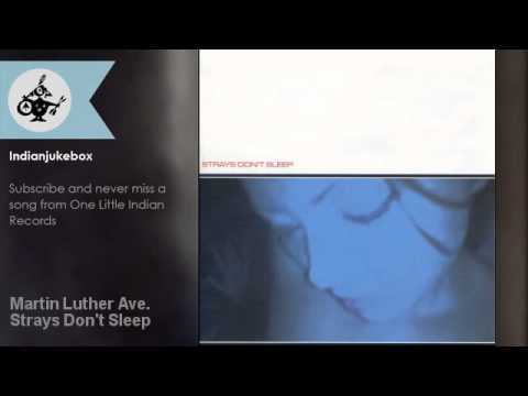 Strays Don't Sleep - Martin Luther Ave.