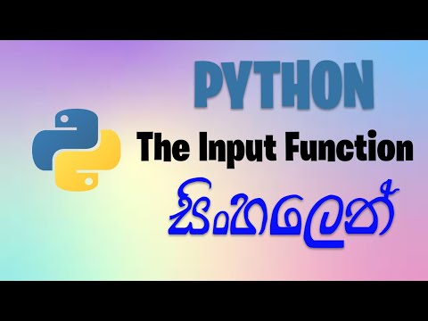 The Input Function Python Tutorial For Beginners With Examples In Sinhala