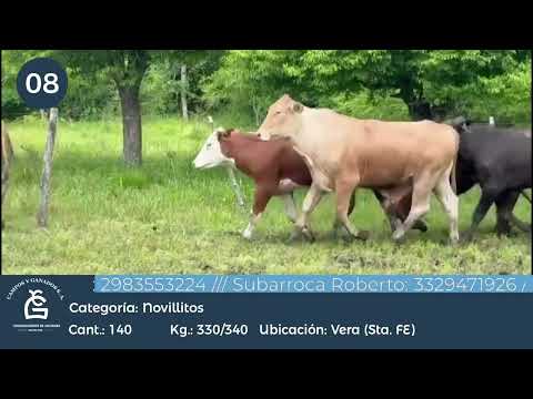 Lote Nll inv- Vera Santa Fe