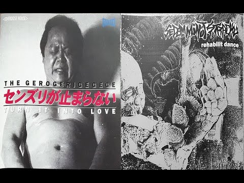 The Gerogerigegege / Sedem Minút Strachu ‎– Turn It Into Love / Rehabilit Dance