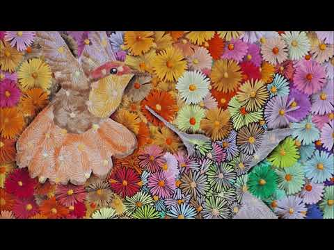 Lockt Zithermusik tatsächlich Kolibris an? (Copic Award 2020)