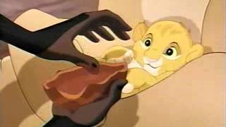 Descriptive Video Demonstration - The Lion King