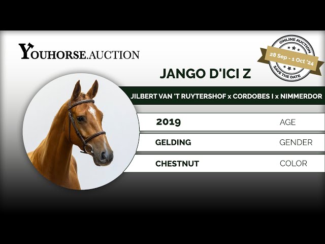 Jango d'Ici Z