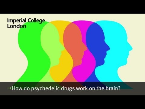 How do psychedelic drugs work on the brain?