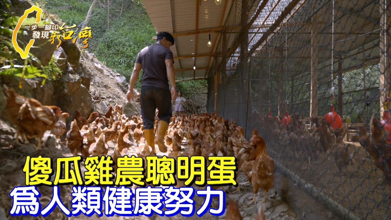 《一步一腳印》想做對的事讓環境變好 傻瓜雞農的聰明蛋